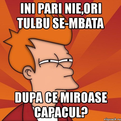 ini pari nie,ori tulbu se-mbata dupa ce miroase capacul?, Мем Мне кажется или (Фрай Футурама)