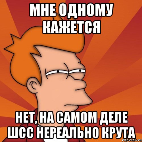 мне одному кажется нет, на самом деле шсс нереально крута, Мем Мне кажется или (Фрай Футурама)