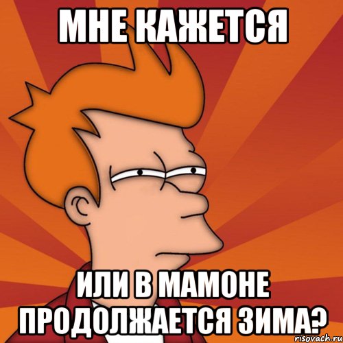 мне кажется или в мамоне продолжается зима?, Мем Мне кажется или (Фрай Футурама)