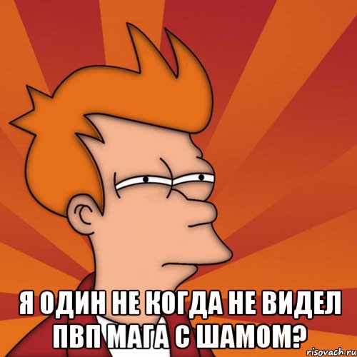  я один не когда не видел пвп мага с шамом?