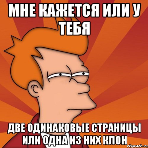 мне кажется или у тебя две одинаковые страницы или одна из них клон, Мем Мне кажется или (Фрай Футурама)