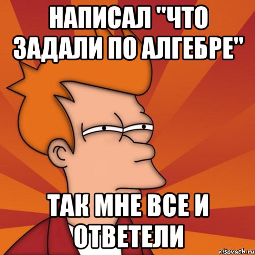 написал "что задали по алгебре" так мне все и ответели, Мем Мне кажется или (Фрай Футурама)