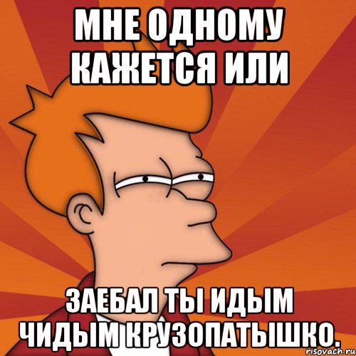 мне одному кажется или заебал ты идым чидым крузопатышко., Мем Мне кажется или (Фрай Футурама)