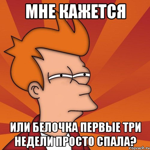 мне кажется или белочка первые три недели просто спала?, Мем Мне кажется или (Фрай Футурама)