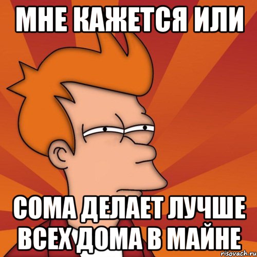 мне кажется или сома делает лучше всех дома в майне, Мем Мне кажется или (Фрай Футурама)