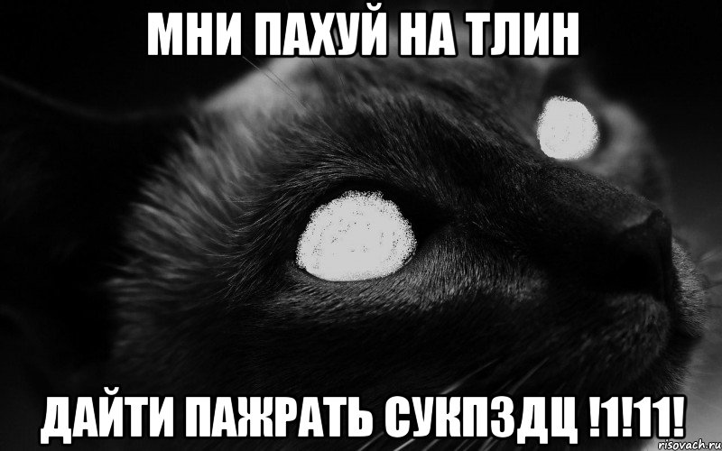 мни пахуй на тлин дайти пажрать сукпздц !1!11!, Мем МНИ ПАХУЙ НА ТЛИН  ДАЙТИ ПАЖРАТЬ