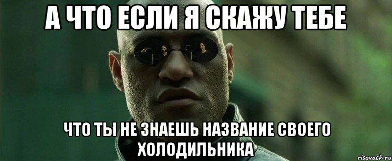 а что если я скажу тебе что ты не знаешь название своего холодильника, Мем  морфеус