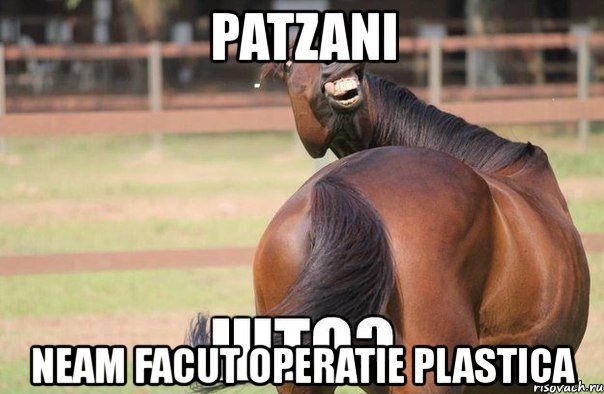 patzani neam facut operatie plastica, Мем Морковка