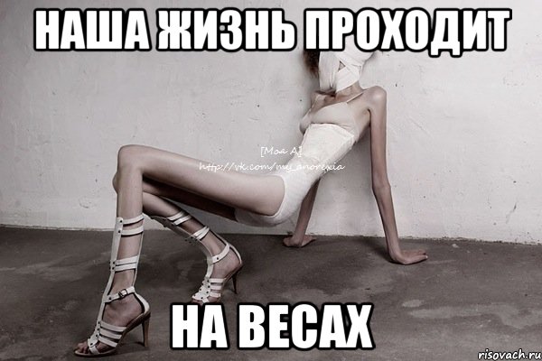 наша жизнь проходит на весах, Мем моя а