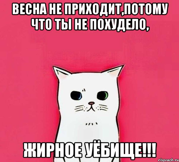 весна не приходит,потому что ты не похудело, жирное уёбище!!!, Мем мудак