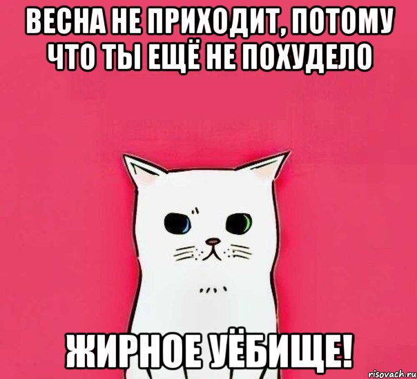 весна не приходит, потому что ты ещё не похудело жирное уёбище!, Мем мудак