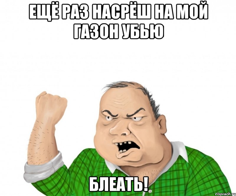 ещё раз насрёш на мой газон убью блеать!, Мем мужик