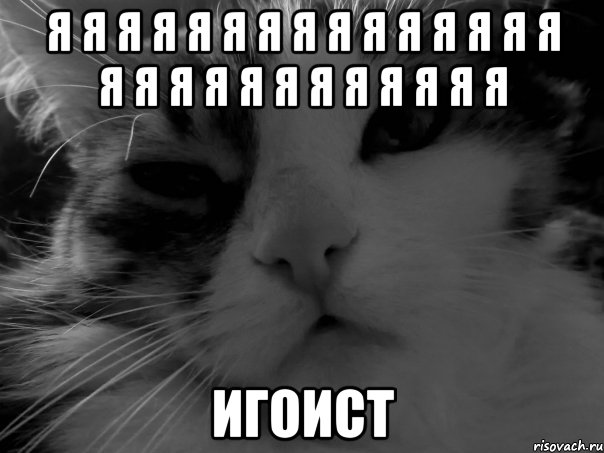 я я я я я я я я я я я я я я я я я я я я я я я я я я я игоист, Мем на вкус как русский рэп