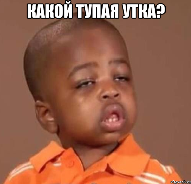 какой тупая утка? , Мем  Какой пацан (негритенок)