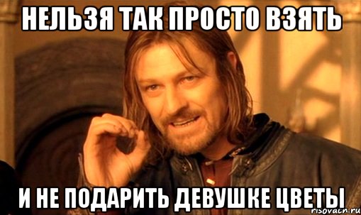 нельзя так просто взять и не подарить девушке цветы, Мем Нельзя просто так взять и (Боромир мем)