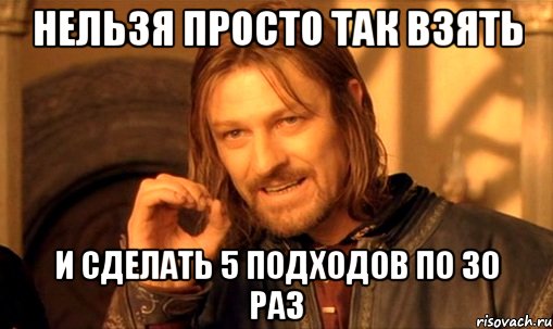 нельзя просто так взять и сделать 5 подходов по 30 раз, Мем Нельзя просто так взять и (Боромир мем)