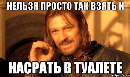 нельзя просто так взять и насрать в туалете, Мем Нельзя просто так взять и (Боромир мем)