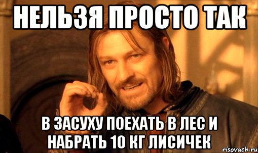 нельзя просто так в засуху поехать в лес и набрать 10 кг лисичек, Мем Нельзя просто так взять и (Боромир мем)