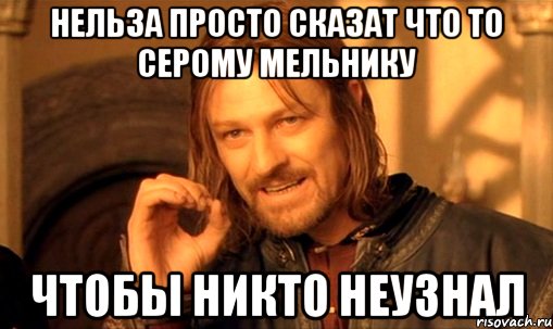 нельза просто сказат что то серому мельнику чтобы никто неузнал, Мем Нельзя просто так взять и (Боромир мем)