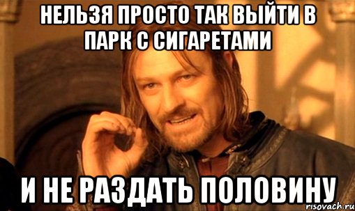 нельзя просто так выйти в парк с сигаретами и не раздать половину, Мем Нельзя просто так взять и (Боромир мем)