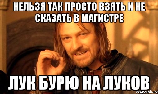 нельзя так просто взять и не сказать в магистре лук бурю на луков, Мем Нельзя просто так взять и (Боромир мем)