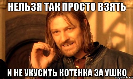 нельзя так просто взять и не укусить котенка за ушко, Мем Нельзя просто так взять и (Боромир мем)