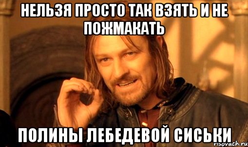 нельзя просто так взять и не пожмакать полины лебедевой сиськи, Мем Нельзя просто так взять и (Боромир мем)