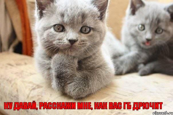 Ну давай, расскажи мне, как вас ГБ дрючит, Комикс ну давай