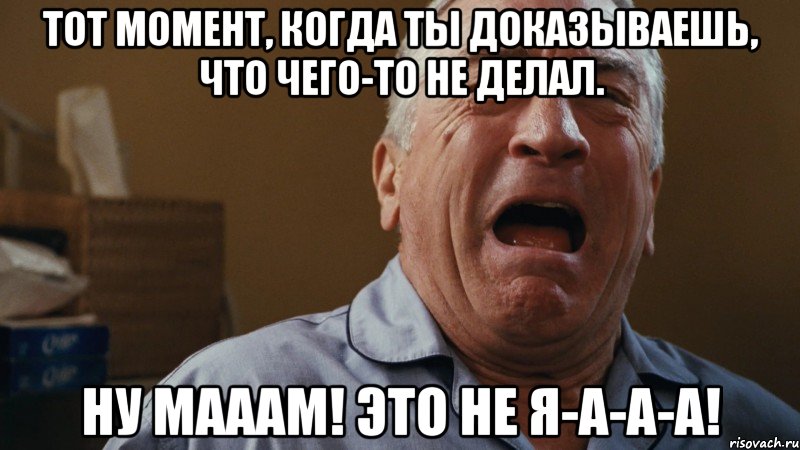 тот момент, когда ты доказываешь, что чего-то не делал. ну мааам! это не я-а-а-а!, Мем Ну мааам