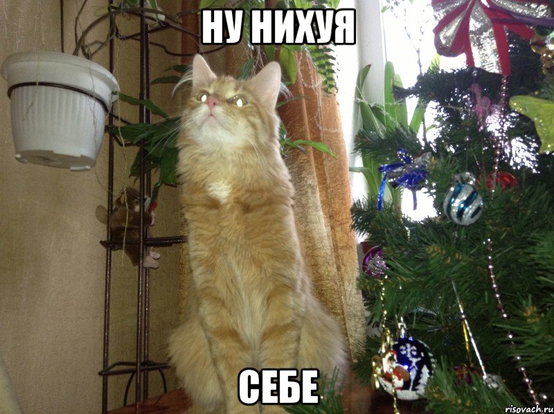 ну нихуя себе, Мем Ну ни