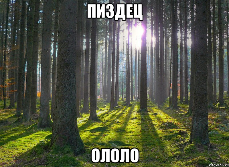 пиздец ололо, Мем ну пиздец