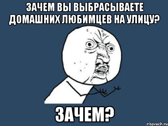 зачем вы выбрасываете домашних любимцев на улицу? зачем?, Мем Ну почему