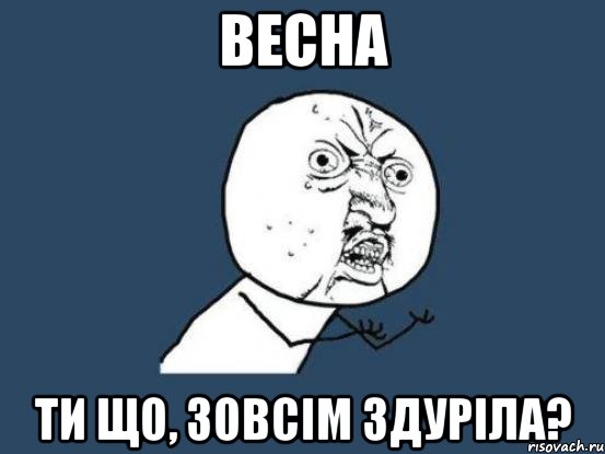 весна ти що, зовсім здуріла?, Мем Ну почему