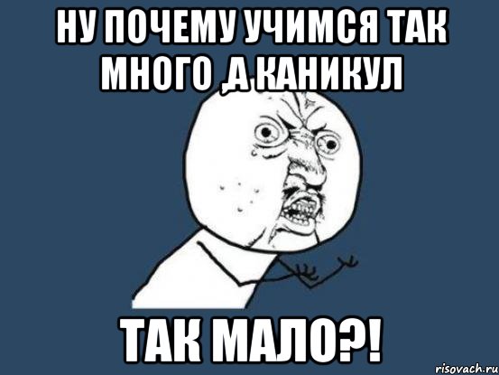 ну почему учимся так много ,а каникул так мало?!, Мем Ну почему