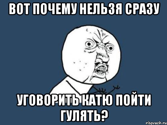 вот почему нельзя сразу уговорить катю пойти гулять?, Мем Ну почему