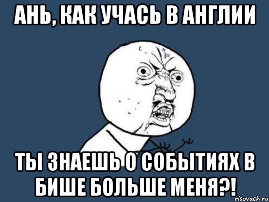 ань, как учась в англии ты знаешь о событиях в бише больше меня?!, Мем Ну почему