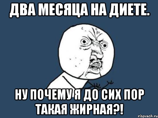 два месяца на диете. ну почему я до сих пор такая жирная?!, Мем Ну почему