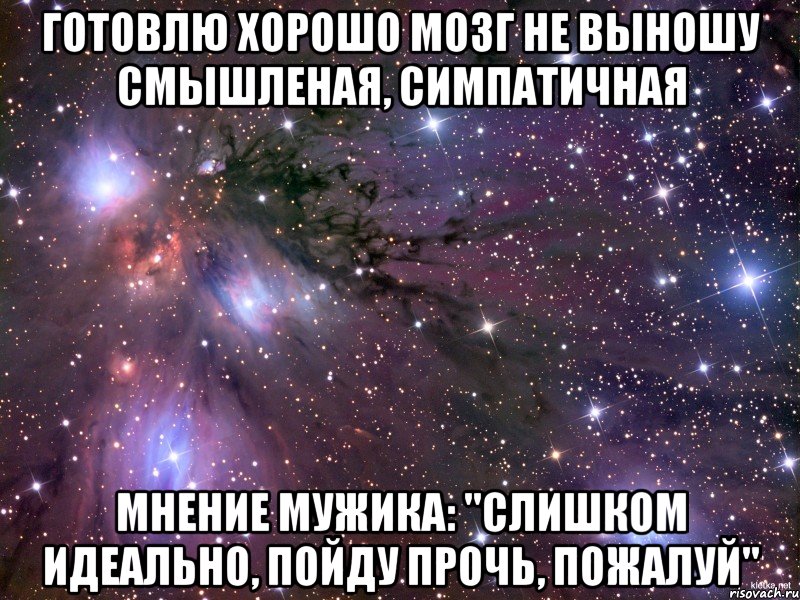 готовлю хорошо мозг не выношу смышленая, симпатичная мнение мужика: "слишком идеально, пойду прочь, пожалуй", Мем Космос