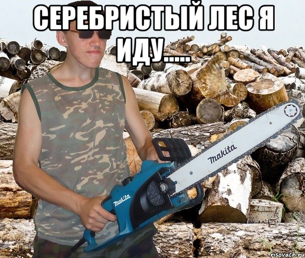 серебристый лес я иду..... , Мем ололо