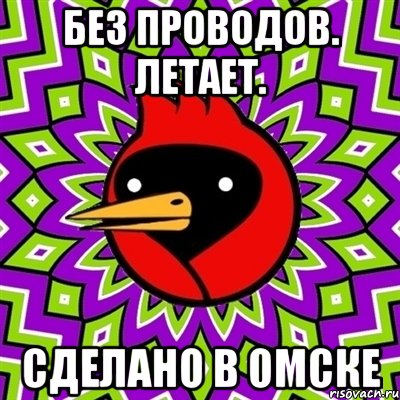 без проводов. летает. сделано в омске, Мем Омская птица