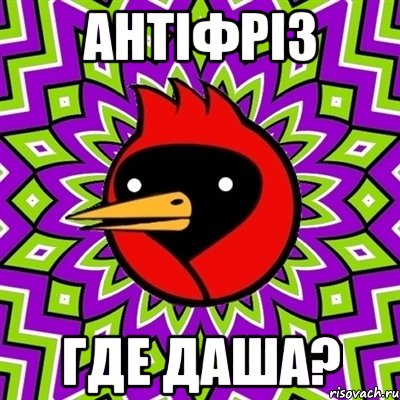 антіфріз где даша?, Мем Омская птица