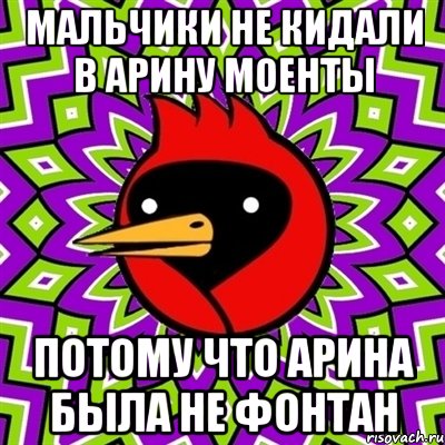 мальчики не кидали в арину моенты потому что арина была не фонтан, Мем Омская птица