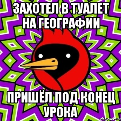 захотел в туалет на географии пришёл под конец урока, Мем Омская птица