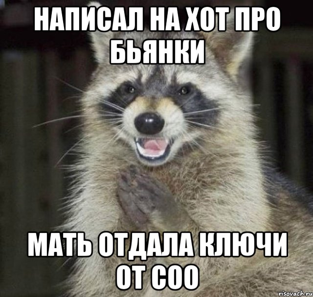 написал на хот про бьянки мать отдала ключи от соо, Мем Отличный автор