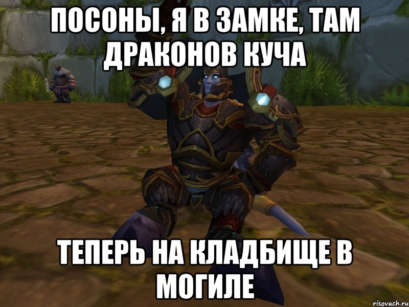 посоны, я в замке, там драконов куча теперь на кладбище в могиле, Мем паладин