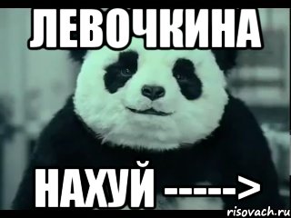 левочкина нахуй ----->, Мем Не отказывай панде