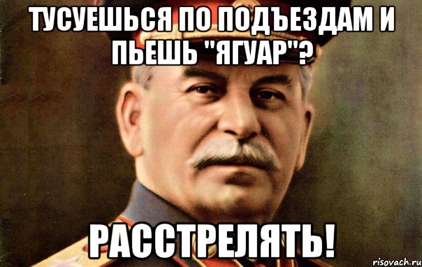 тусуешься по подъездам и пьешь "ягуар"? расстрелять!, Мем Павел