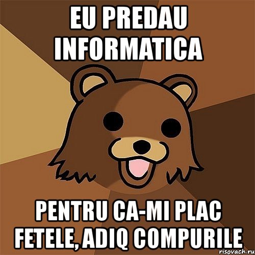 eu predau informatica pentru ca-mi plac fetele, adiq compurile, Мем Педобир