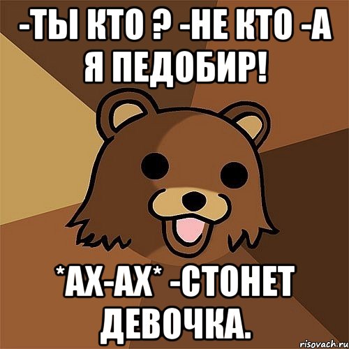 -ты кто ? -не кто -а я педобир! *ах-ах* -стонет девочка., Мем Педобир