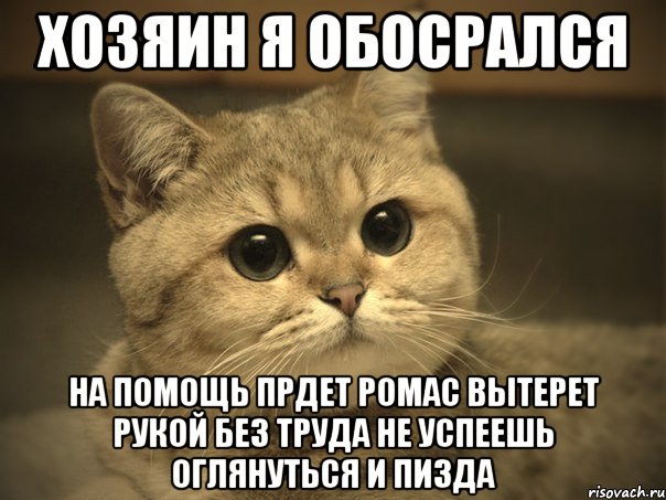 хозяин я обосрался на помощь прдет ромас вытерет рукой без труда не успеешь оглянуться и пизда, Мем Пидрила ебаная котик